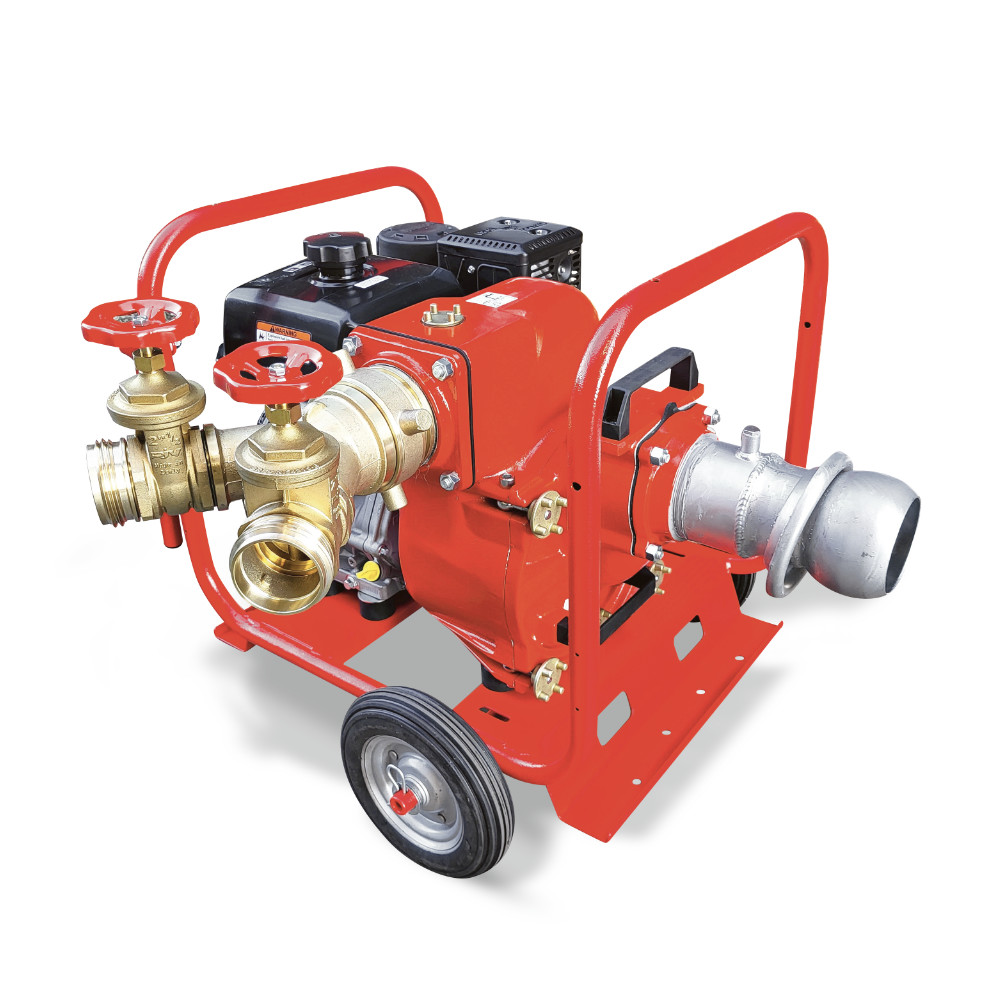 PORTABLE MOTOR PUMPS